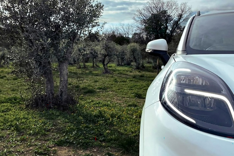 Ford desenvolve peças de automóveis sustentáveis com resíduos de oliveira