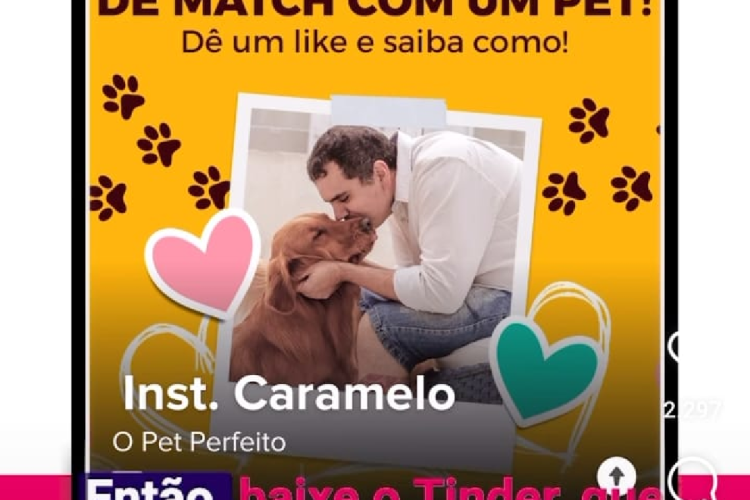 Parceria do Tinder com ONG no Brasil busca incentivar adoção de animais no Brasil