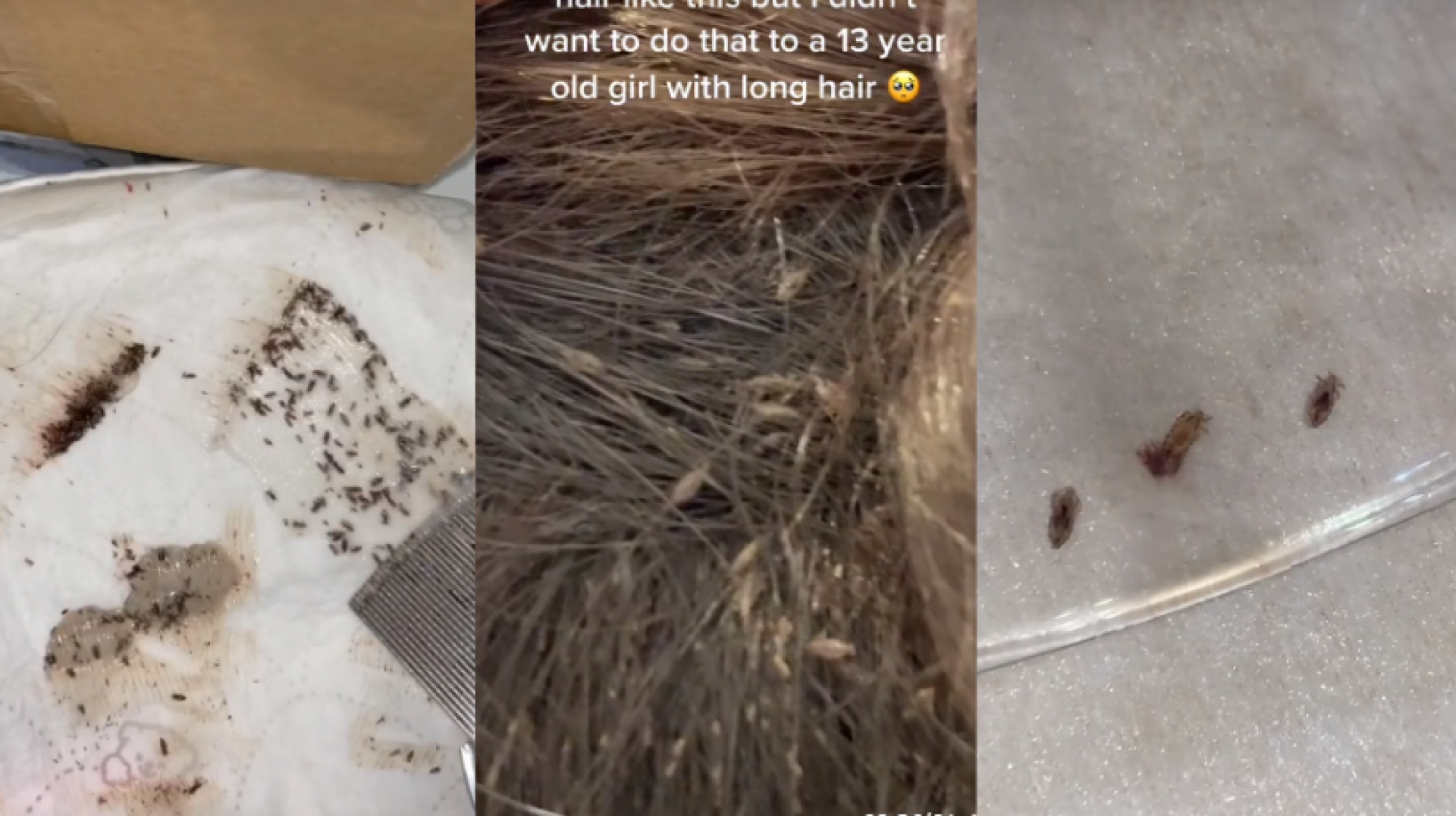 Parte da rotina de Rachel &eacute; compartilhada em v&iacute;deos que ela publica no TikTok. Alguns v&iacute;deos j&aacute; ultrapassaram 100 milh&otilde;es de visualiza&ccedil;&otilde;es.