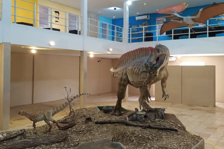 Museu de Paleontologia Plácido Cidade Nuvens terá nova sede