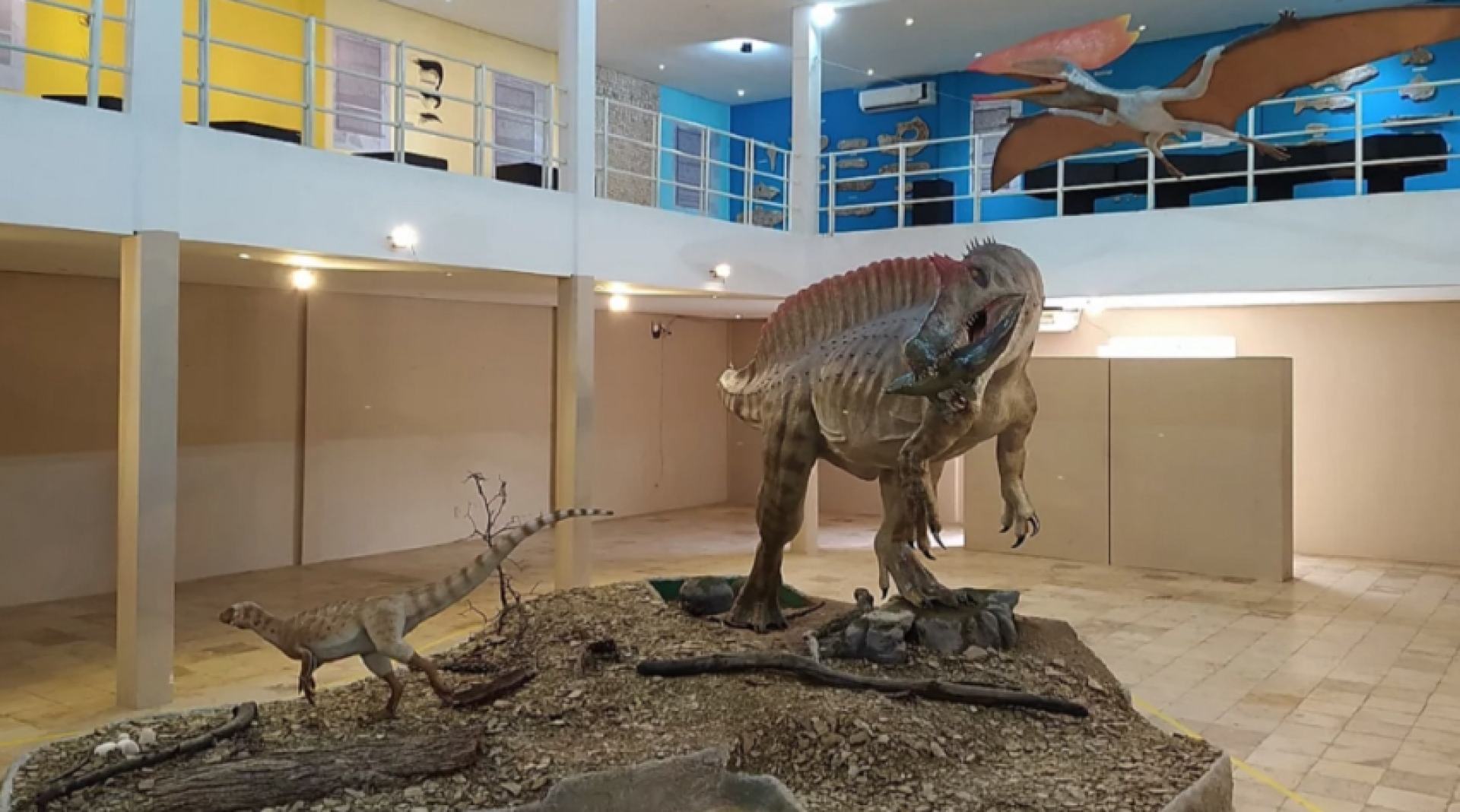 Museu de Paleontologia Plácido Cidade Nuvens terá nova sede (Foto: Divulgação / Governo do Ceará )