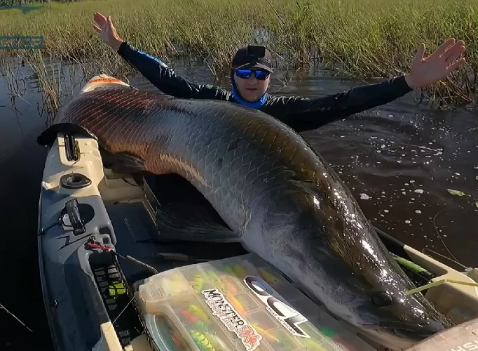 Quando enfim consegue ganhar o bicho pelo cansaço, o youtuber trava uma batalha para colocá-lo no caiaque. Quando consegue, ele aparece comemorando muito a conquista.