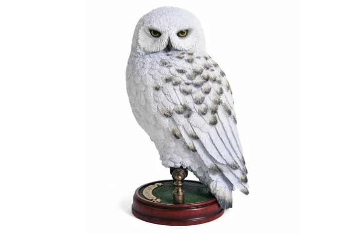 O nome Hedwig é uma homenagem à Santa Hedwig, a padroeira da Silésia e da Polônia, e também é um nome que possui raízes germânicas e significa batalha justa. 