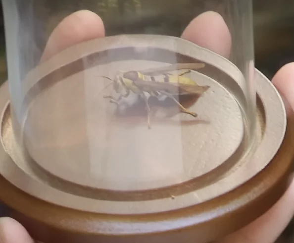 O critério da escala de Schmidt é o seguinte: grau 1: picadas de intensidade suave, que geralmente cessam em até cinco minutos; grau 2: picadas mais densas, vigorosas e intensas, resultando em desconforto que pode durar de 5 a 10 minutos; 