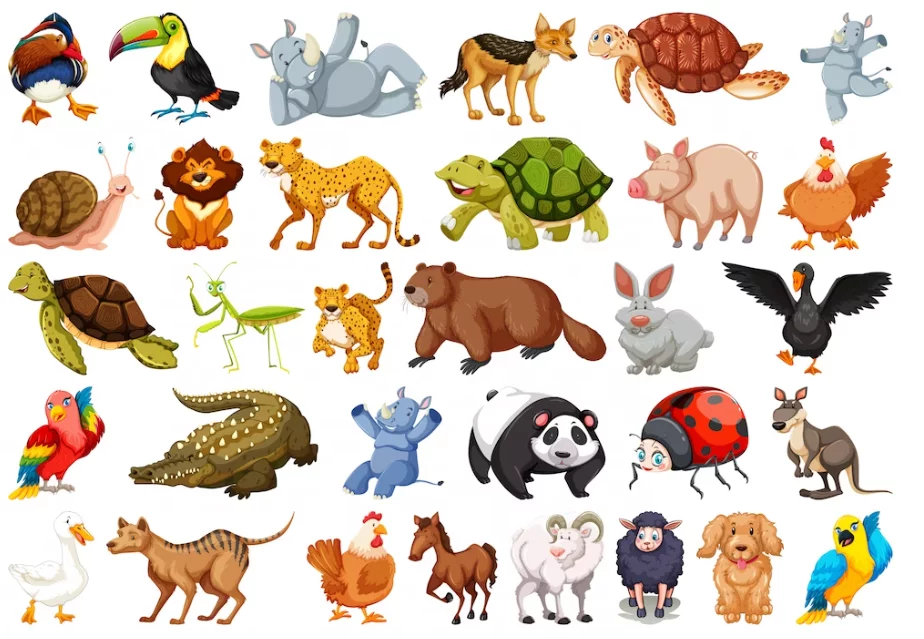 Você sabe qual é o maior animal do planeta? O mais alto? O mais rápido? Veja nesta galeria os animais extremos do mundo! 