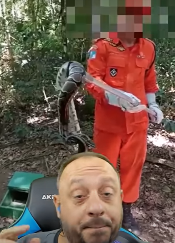 A píton, inclusive, tornou-se uma ameaça quando agentes ambientais confundiram uma serpente dessa espécie com uma jiboia e fizeram a soltura no Parque Nacional da Tijuca. A píton é capaz de se reproduzir sozinha e representa um risco para outras espécies porque não tem predador natural no Brasil.