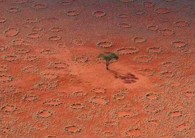 Primeiramente, os pesquisadores ensinaram à rede neural como reconhecer os círculos de fadas. Eles fizeram isso inserindo mais de 15 mil imagens de satélite coletadas na Namíbia e na Austrália.