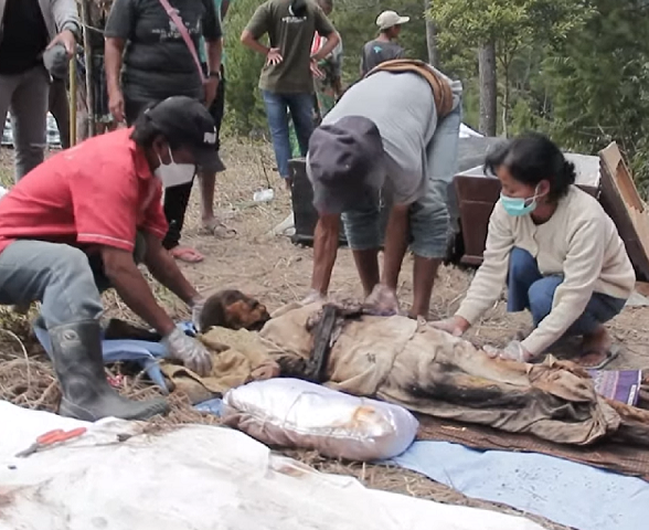 Os habitantes locais acreditam que, ao realizar o ritual, terão boas colheitas.