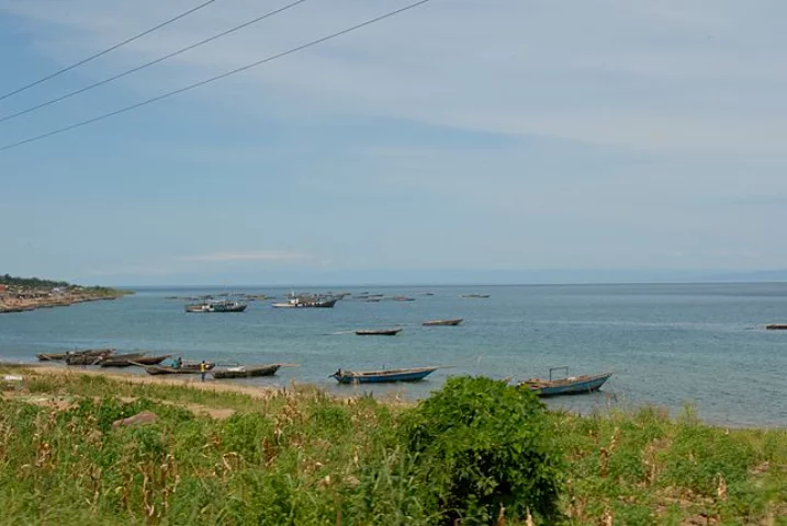 Milhões de pessoas dependem do Tanganica para seu sustento. Entre elas, quase cem mil pescadores. O lago se destaca por sua biodiversidade, já que conta com mais de 1.500 espécies de animais e plantas como, por exemplo, os crocodilos do Nilo, garoupas gigantes, medusas de água doce e enguias .