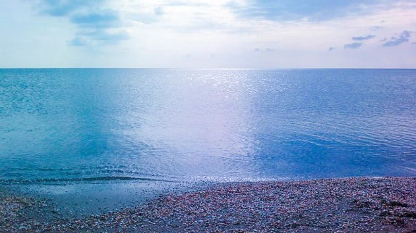 Já em 2015, ambientalistas alertavam para a necessidade da preservação do lago, afetado pela poluição produzida pelos habitantes do entorno. A área tem 1.800 espécies de animais e 720 de plantas. 