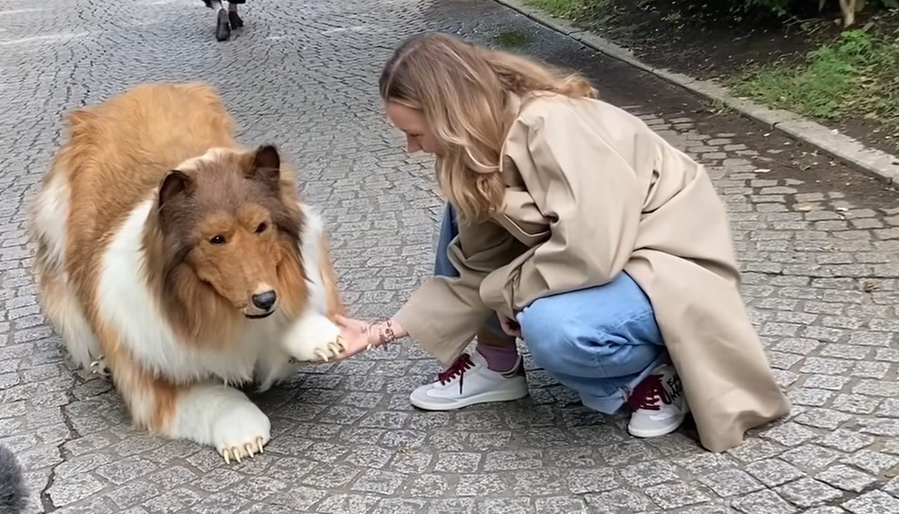 Em agosto de 2023, Toko fez seu primeiro passeio ao ar livre. E postou nas redes sociais, ao lado de uma 'tutora' . O vídeo viralizou. 