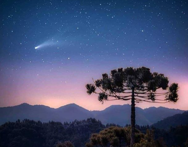 Iniciativas de preservação são fundamentais, pois a Mata Atlântica, devido a ações criminosas, só tem hoje 12% da cobertura vegetal original. Em 2020, o Caminho foi escolhido pelo jornal New York Times como um dos 52 melhores destinos para viagem no mundo.