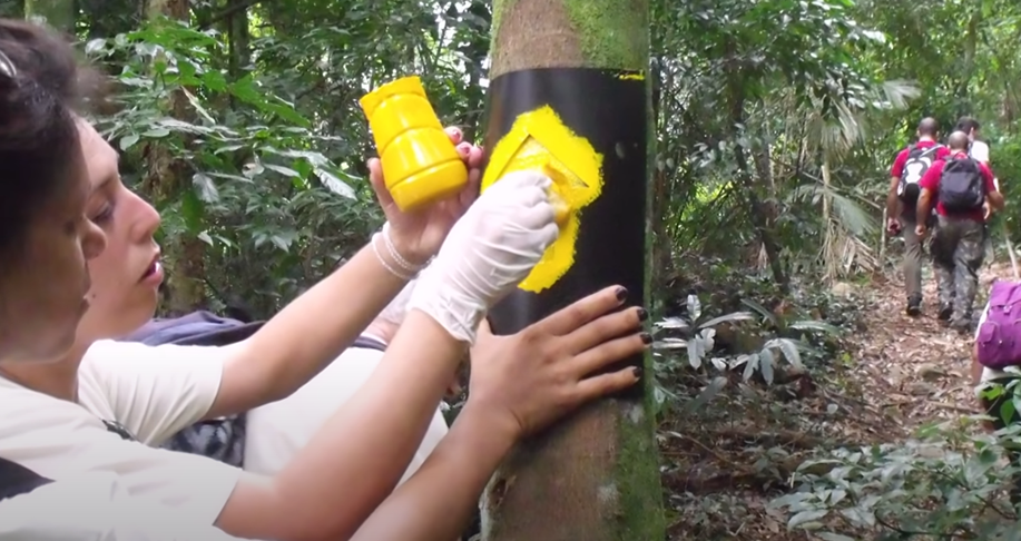 Uma das tarefas é sinalizar a trilha de forma correta para que as pessoas possam percorrer o caminho em segurança.