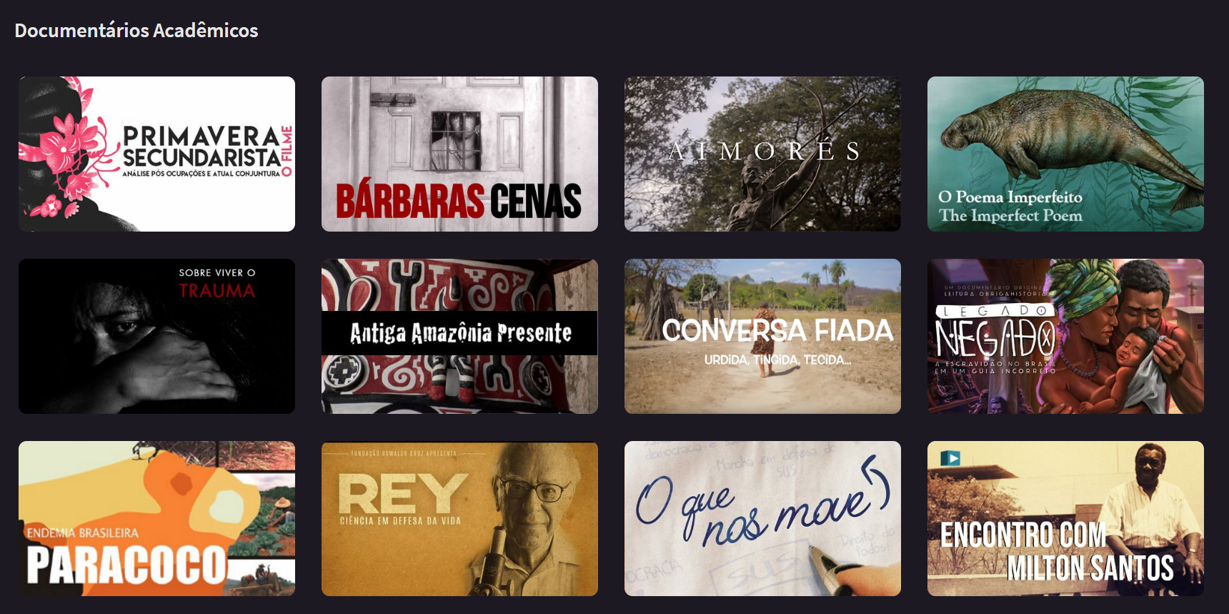 Iniciei o Libreflix em dezembro de 2016 e ele foi ao ar em agosto de 2017. Eu sou o principal programador da plataforma, o que chamamos de mantenedor, disse na época. 