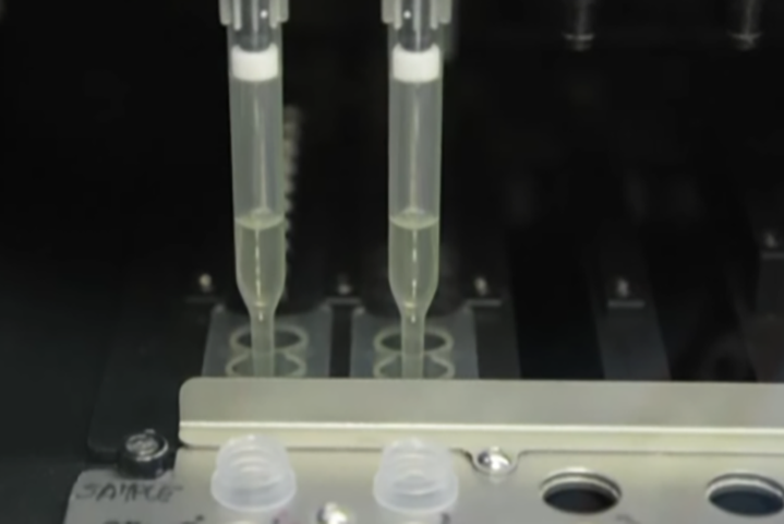 O Fentanil tem causado uma sucessão de mortes nos Estados Unidos. Por isso, pesquisadores da Universidade de Montana anunciaram que planejam fazer testes em seres humanos para criação de uma vacina que possa combater os efeitos da droga.