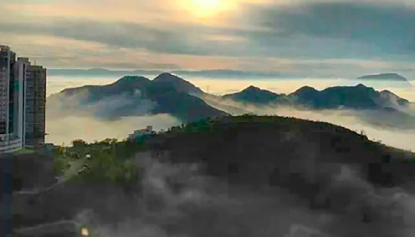 Só que isso também cria o temor de que animais, que vivem na área de mata, possam se aproximar ou até entrar na área urbana - como aconteceu. 