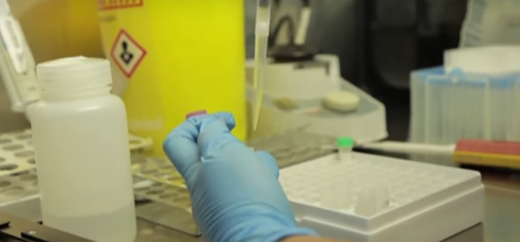 Desde 2022 já houve mais de 10 mil casos e 16 pessoas morreram no Brasil. Este ano são 709 casos confirmados no país e a situação é considerada estável.