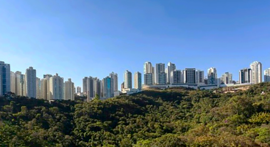 A área onde a onça-parda apareceu se chama Vila da Serra. Um bairro luxuoso no limite com Belo Horizonte. Vila da Serra dá vista para as montanhas, o que, teoricamente, valoriza o bairro, repleto de condomínios do tipo resort e casas de alto padrão. 