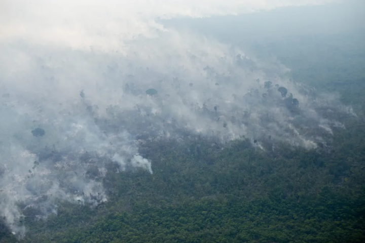 Entre julho e agosto, mais da metade dos focos de incêndio se concentraram nos estados do Mato Grosso e do Pará.