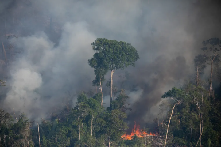 Em grande parte, essas pesquisas são provenientes de estudos com animais e incêndios em cozinhas a lenha.