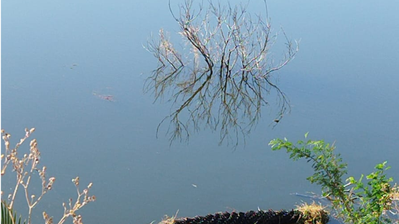 A vítima de 66 anos foi retirada do veículo pelos bombeiros, mas já estava sem vida 