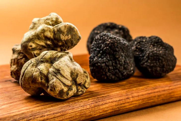 No resto do mundo, os mais famosos são: trufas (brancas e pretas), cogumelo-rei, cogumelo-enoki e cogumelo-maitake.