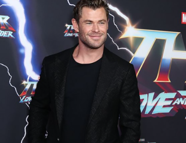 Além de Mad Max, os outros projetos já confirmados com a presença de Hemsworth são: um novo filme da franquia Vingadores, uma cinebiografia do lutador Hulk Logan e o longa O Resgate 2 (este já lançado).