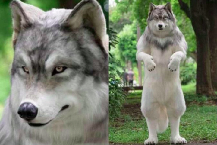 O homem se manifestou no site da empresa de forma anônima e justificou a mudança de vida pelo seu amor por animais.