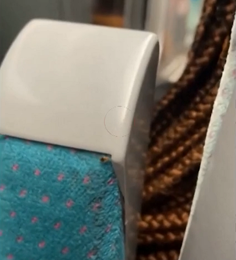 Como prevenção, procure tomar algumas medidas simples, mas que ajudam a impedir a proliferação do percevejo. Entre elas, é importante selar as frestas dos móveis. 