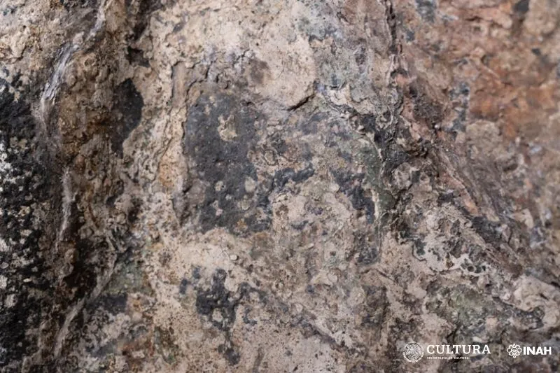 Para estabilizar os pigmentos, os pesquisadores utilizam métodos sofisticados de preservação. E o processo de policromia é importante para a preservação da escultura. Os pigmentos usados pelos astecas provinham de minerais e vegetais. 