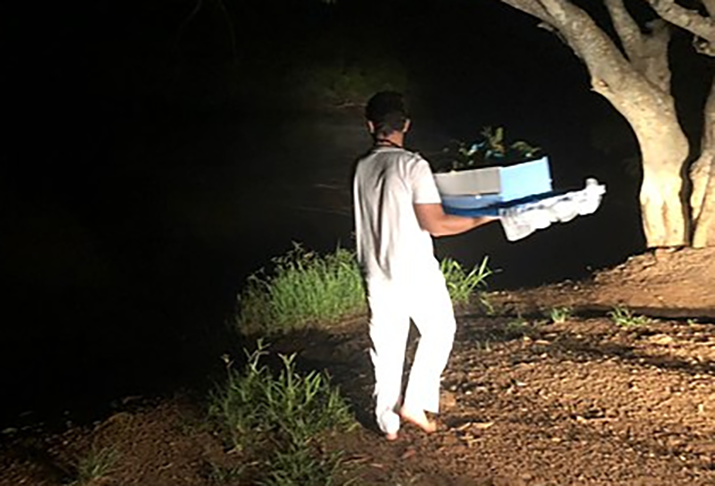 Muitos fazem oferendas à Iemanjá. O humorista Leandro Hassum  apresentava uma divertida esquete sobre presentes baratinhos para a orixá protetora do mar. Ela não aceita e eles voltam, brincava. Os espelhinhos de R$ 1,99 ainda são campeões, mas esse hábito é politicamente incorreto: polui o mar.