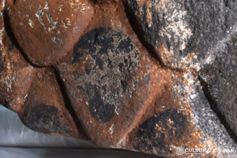 Bertrand Lobjois, professor associado de humanidades na Universidade de Monterrey, no México, também destacou o tamanho notável da escultura e elogiou os esforços de conservação que permitiram que as cores vívidas perdurassem. 