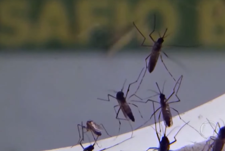 A dengue representa um grande desafio de saúde pública por ter quatro sorotipos. A infecção por um deles não “blinda” o organismo infectado de contrair a doença mais uma vez. 
