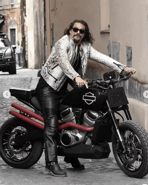 Jason Momoa- O ator famoso como Aquaman, que também está na franquia Velozes e Furiosos (10) , curte uma Harley-Davidson Pan America 1250. 