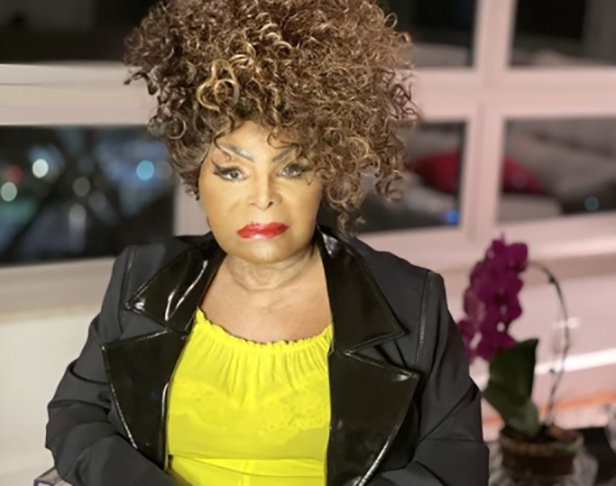 Desde a morte de Garrinchinha, Elza estava em depressão. Ela  tentou o suicídio e passou a fazer tratamento, até que decidiu concentrar sua atenção na carreira. Morou e fez show em diversos países até voltar ao Brasil. 