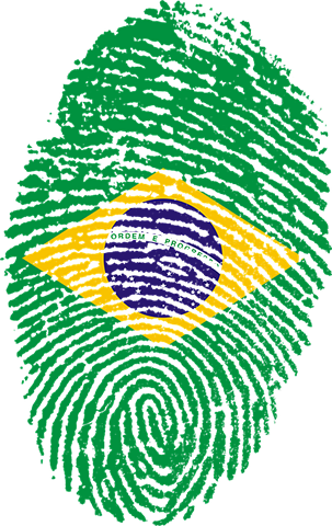  Para que um novo estado seja criado, é necessário, primeiro, que a população local aprove a proposta por meio de plebiscito.