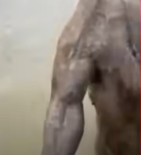 “Basicamente, dei um tapa na cabeça dele, ele pulou em mim e acabamos brigando na água. Ele parecia prestes a chutar minhas pernas, então eu joguei um pouco de água em seu rosto e tentei fugir, mas ele tentou me agredir novamente quando eu estava saindo, relatou Mick.