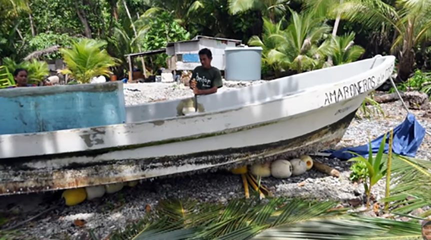 O barco tinha 7 metros de comprimento, um motor de popa e um refrigerador para armazenar os peixes. Eles navegaram 120 km na costa para buscar esses animais.