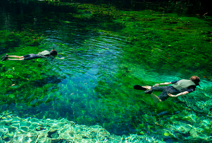 Aquário Natural de Bonito (MS): Localizado na Reserva Ecológica Baía Bonita, a cerca de 7 km do centro da cidade de Bonito, no Mato Grosso do Sul, a visita de cerca de 2 horas pelos rios de águas cristalinas permite que o público observe com facilidade os peixes e a vegetação subaquática.