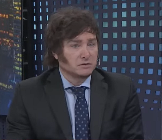 Nascido em Palermo, bairro nobre de Buenos Aires, o presidente da República Argentina prega o anarcocapitalismo, corrente ideológica ultraliberal que defende o fim do estado, com privatizações e livre mercado em todas as esferas.