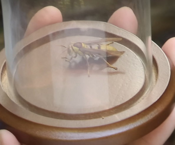 O critério da escala de Schmidt é o seguinte: grau 1: picadas de intensidade suave, que geralmente cessam em até cinco minutos; grau 2: picadas mais densas, vigorosas e intensas, resultando em desconforto que pode durar de 5 a 10 minutos; 