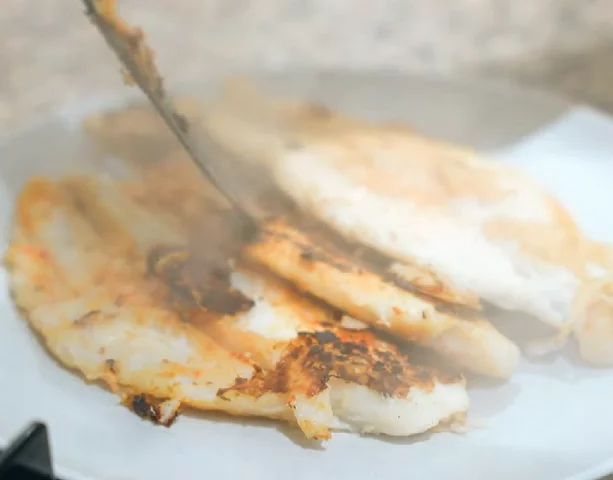 Além disso, o panga já é vendido sem espinhas e pode ser preparado de diversas formas diferentes. Confira agora alguns peixes de água salgada!