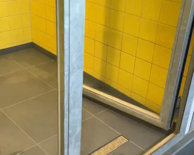 Com poucos animais nos abrigos, a Holanda consegue até importar cães de outros países para adoção.