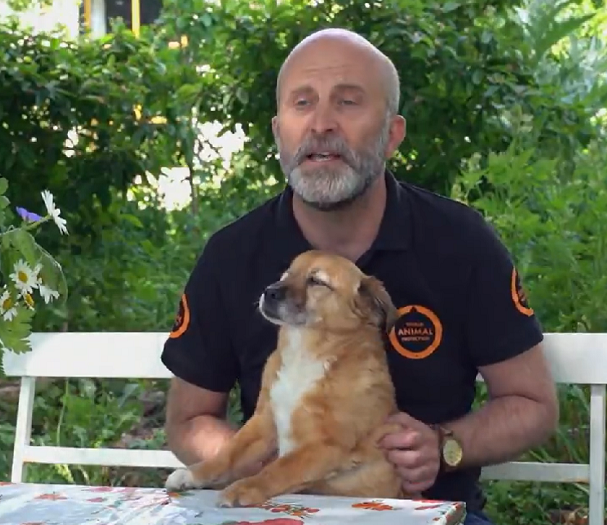 Com isso, caso algum cãozinho se perca, a polícia consegue encontrar informações como telefone de contato e nome do tutor.