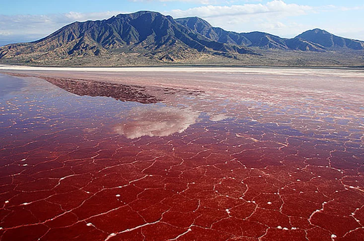O Lago Natron é um lago salino e alcalino localizado no norte da Tanzânia, perto da fronteira com o Quênia. Ele é alimentado por fontes ricas em minerais e possui uma coloração avermelhada devido à presença de microorganismos e algas.