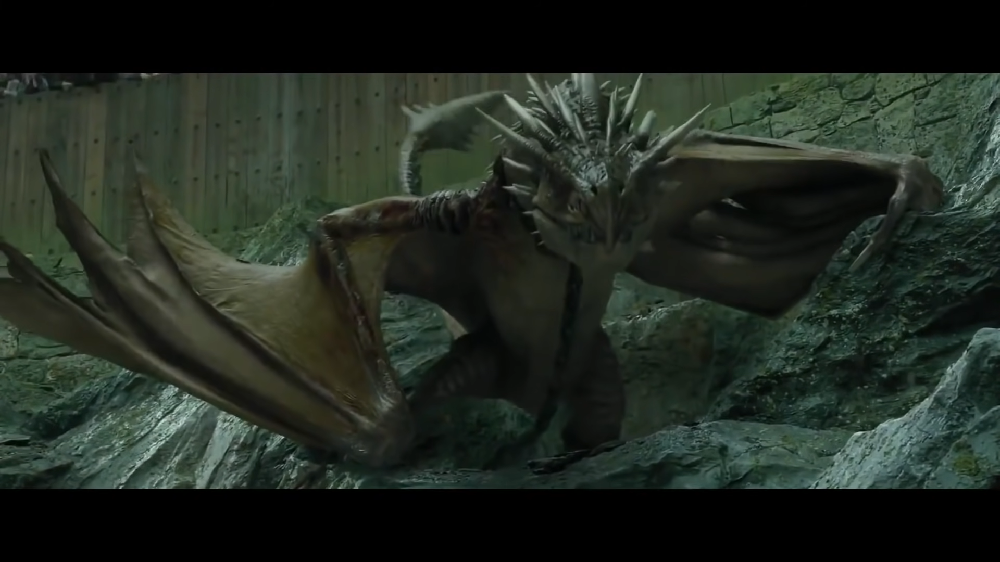 Rabo-Córneo Húngaro - Como citar criaturas tão famosas da fantasia sem mencionar um dos dragões que aparecem na franquia “Harry Potter”? 