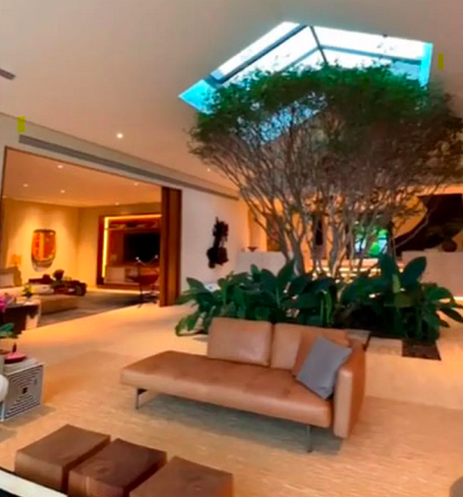 E o item valioso na sala de estar da empresária parece só um detalhe quando se nota uma árvore jabuticabeira no centro do cômodo! 