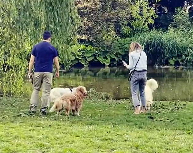 Em seguida aparecem, nesta ordem, Suécia, Israel, Holanda (foto), Noruega, Luxemburgo, Suíça e Austrália. 