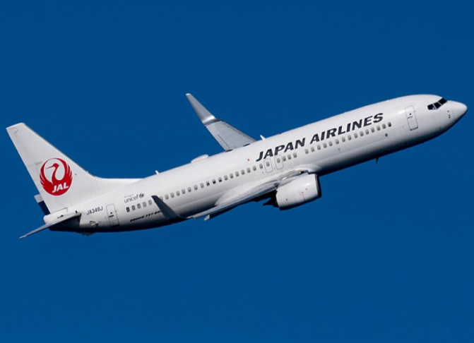 O avião era umAirbus A350 da Japan Airlines, registrado sob a matrícula JA07XJ.   O voo JL-331 tinha partido do Aeroporto de Heneda, em Tóquio, capital do país.