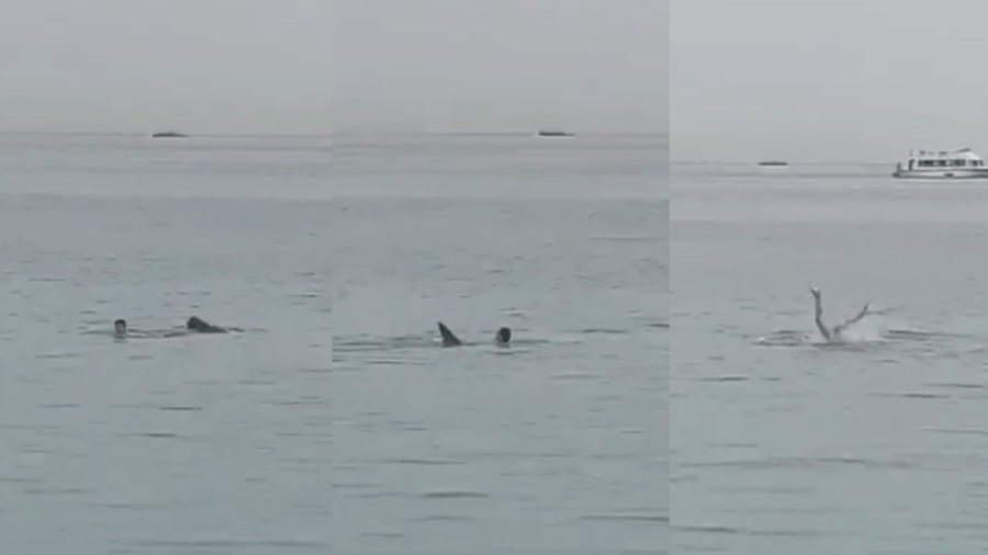 Em junho de 2023,  um ataque de tubarão teve um final trágico no Egito. Um homem russo foi morto em função de um ataque de tubarão, enquanto nadava no Mar Vermelho, na praia em frente ao hotel Dream Beach, em Hughada.